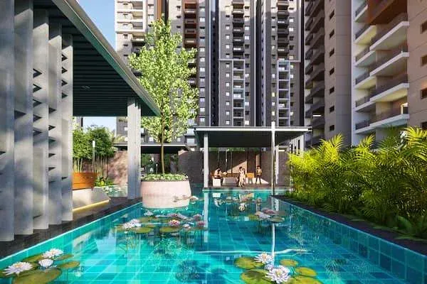 Pavani Mirabilia image 3