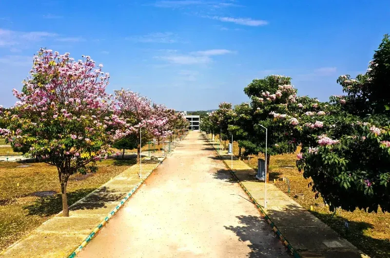 The Green Valley Address image 2