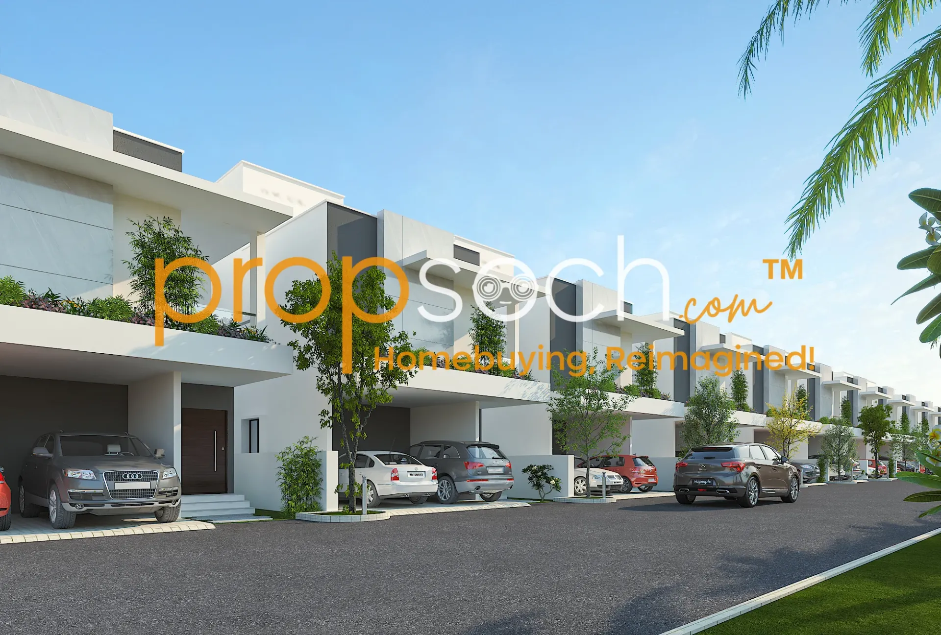 Konig Orange County image 1