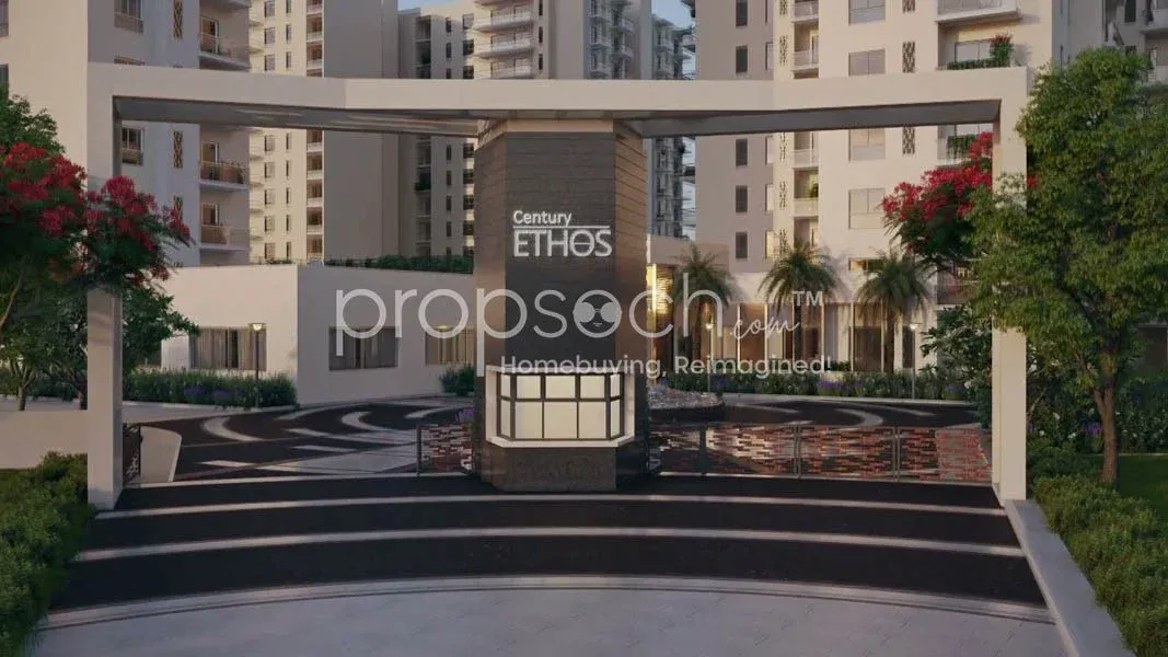 Century Ethos (Sheltors Share) image 4