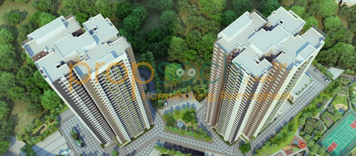 Purva Bluebelle image 4