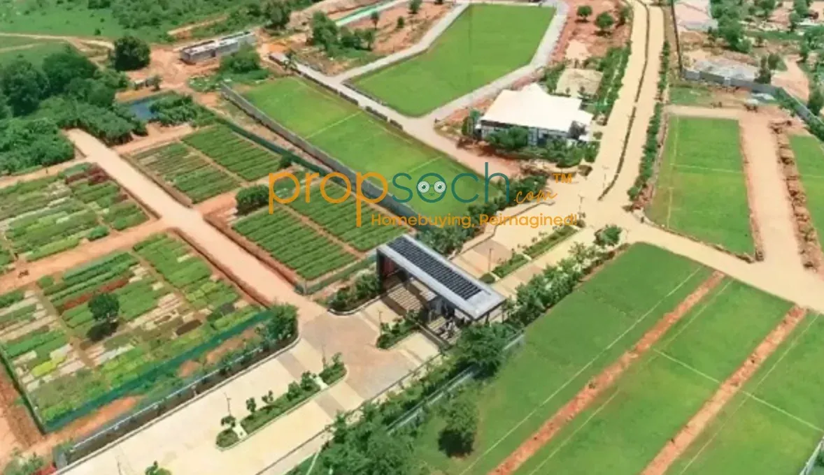 Purva Oakshire image 3