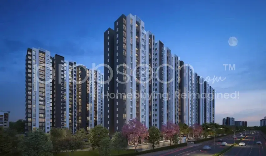 Provident Ecopolitian  image 1