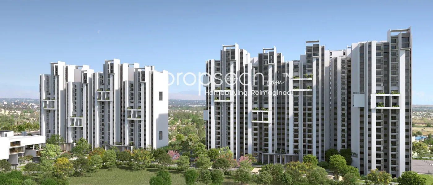 Rohan Ekanta image 7 Rohan Ekanta image 7