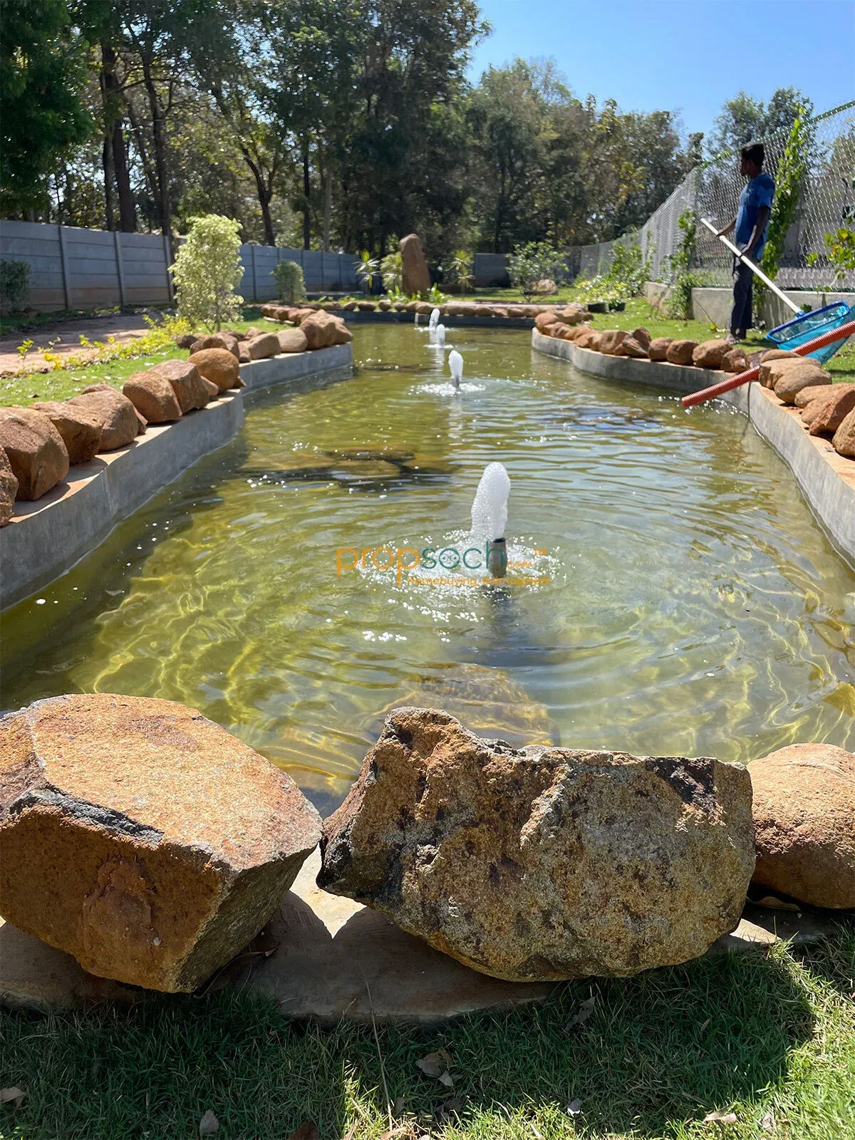 Woodsvale image 13
