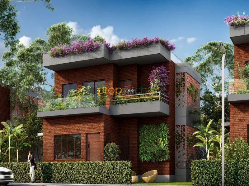 Woodsvale image 6