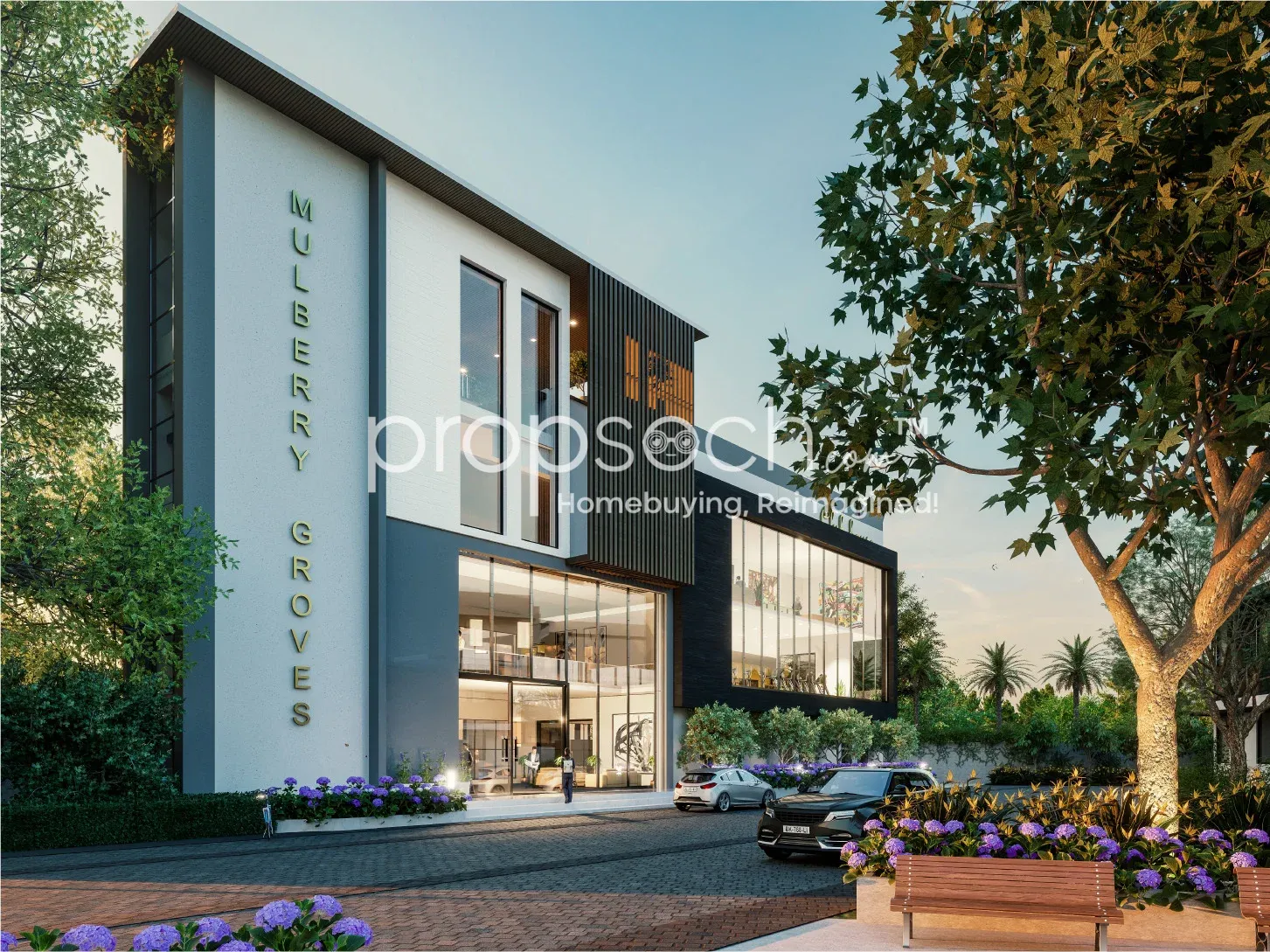 Saiven Mulberry Groves image 6