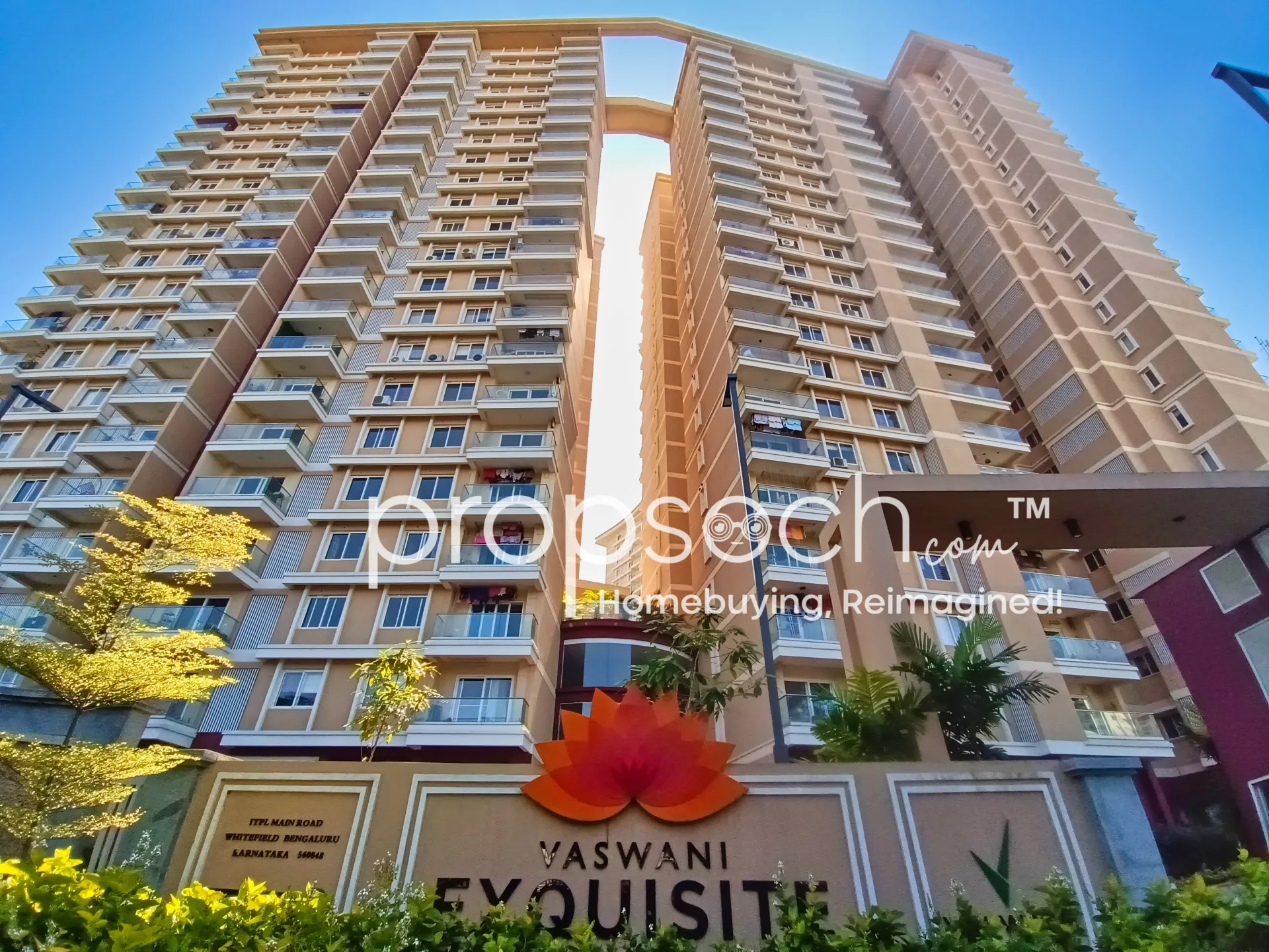 Image of Vaswani Exquisite Image of Vaswani Exquisite