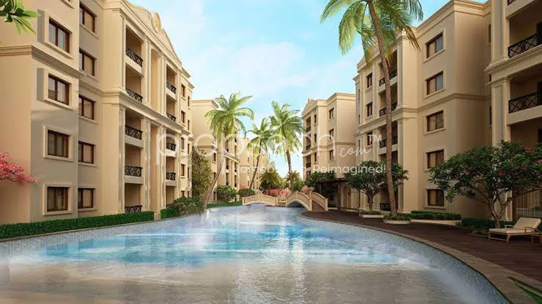Legacy Salvador image 3