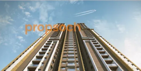 Image of DSR the Address
