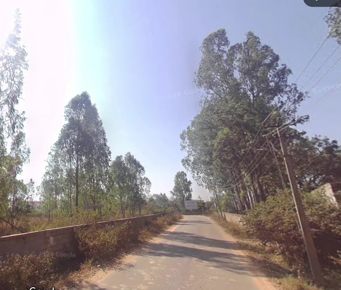 Radiance Floresta image 7