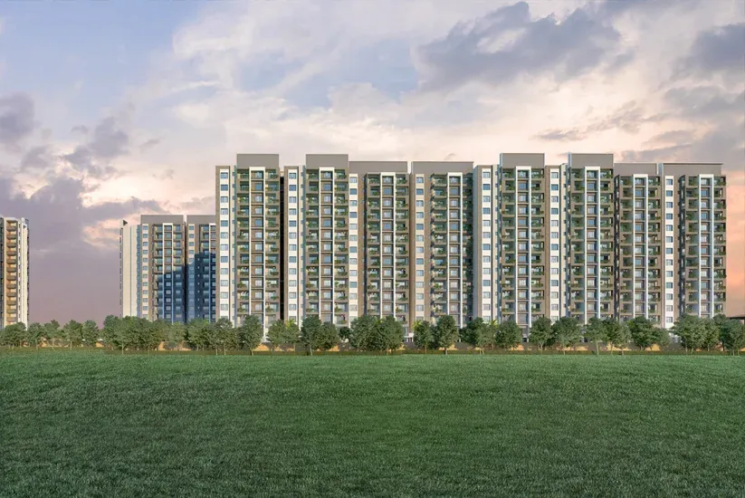 Meda East Winds image 6