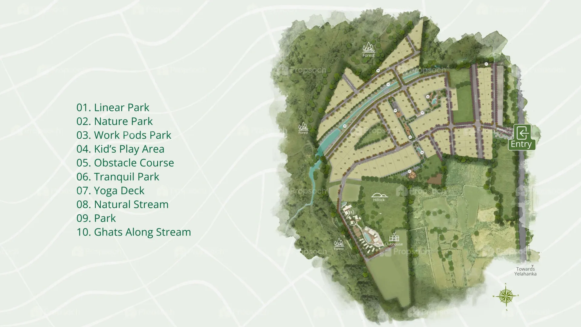 Rewild Master Plan Image