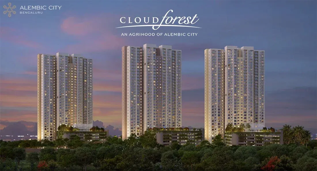 Alembic Cloud Forest image 7