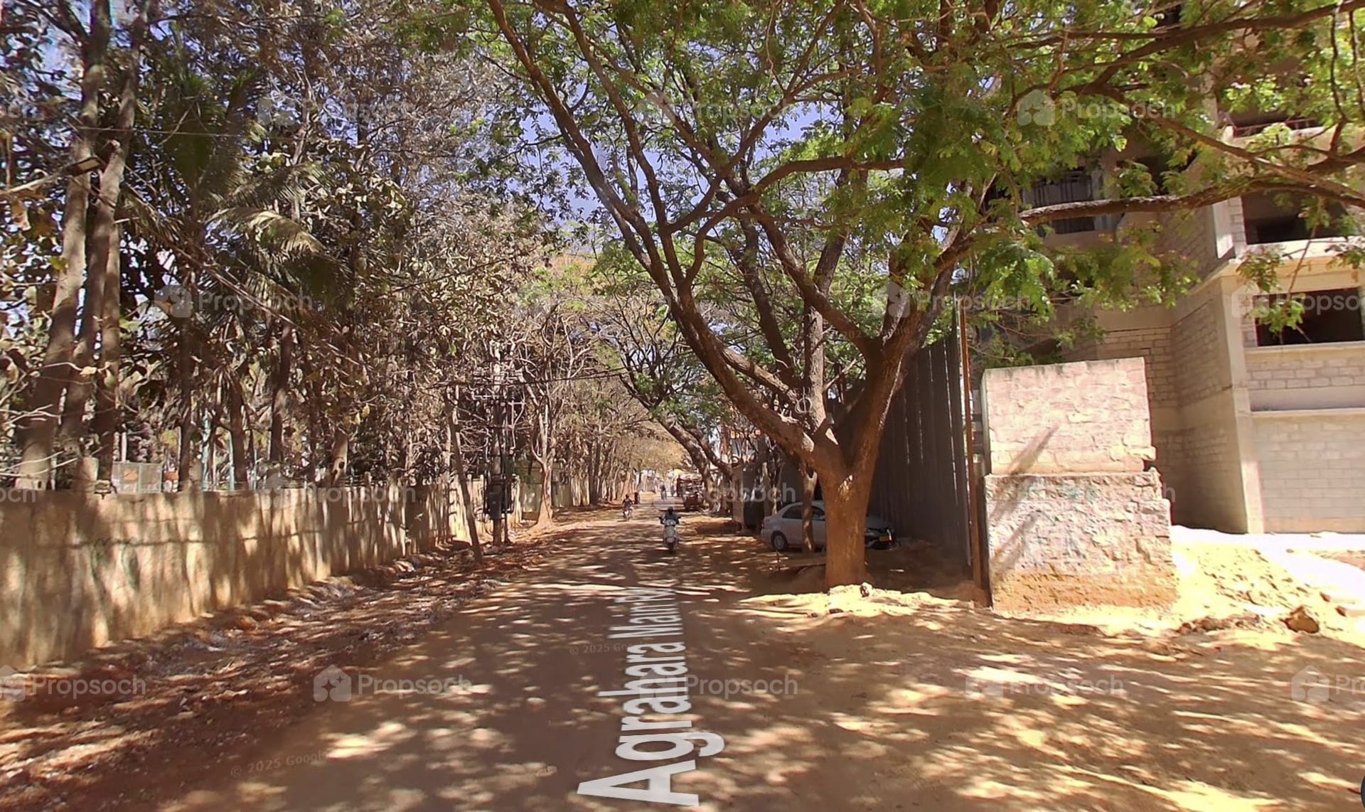Soven Sachi image 8