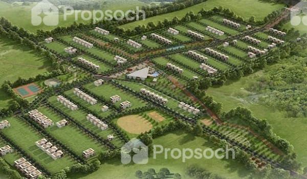 Kns Candrill image 2