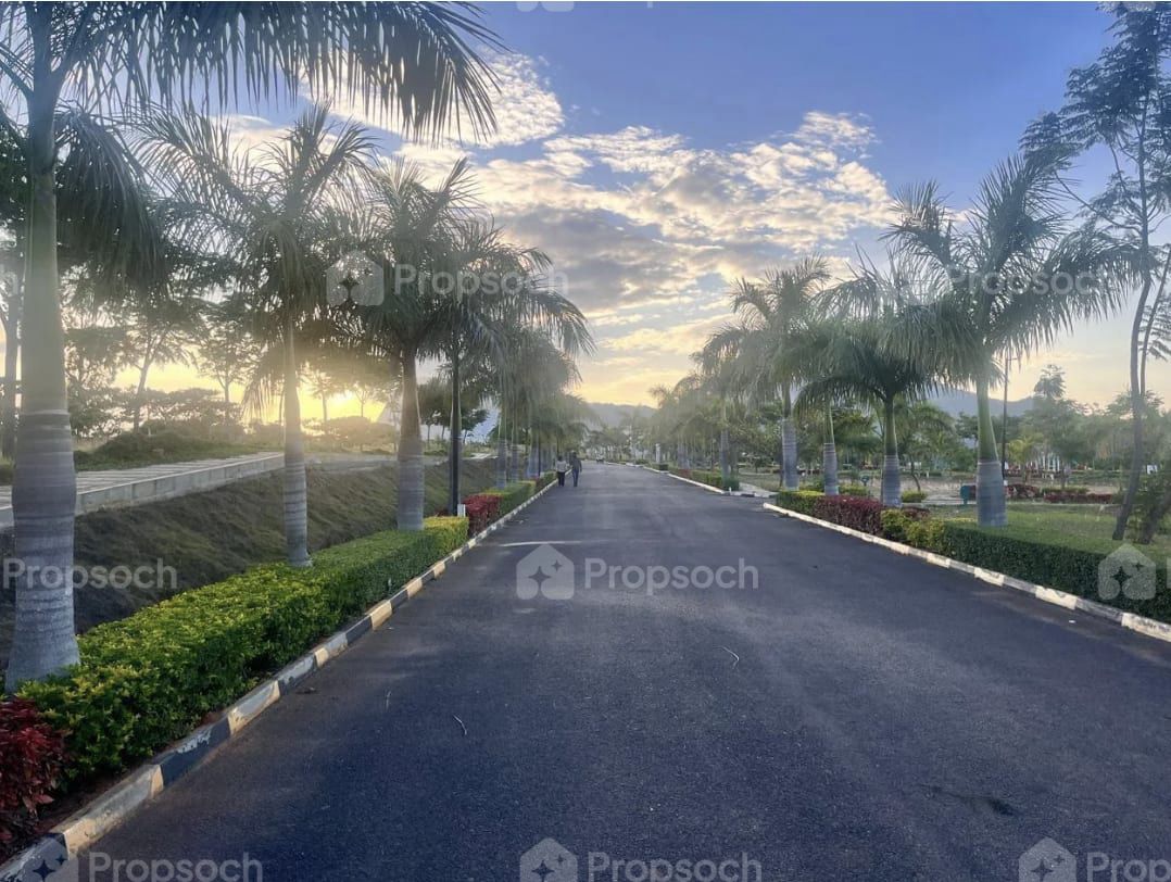 Sammy's Palm Hills image 2