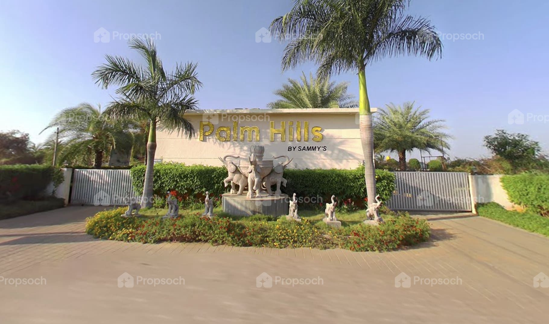 Sammy's Palm Hills image 6