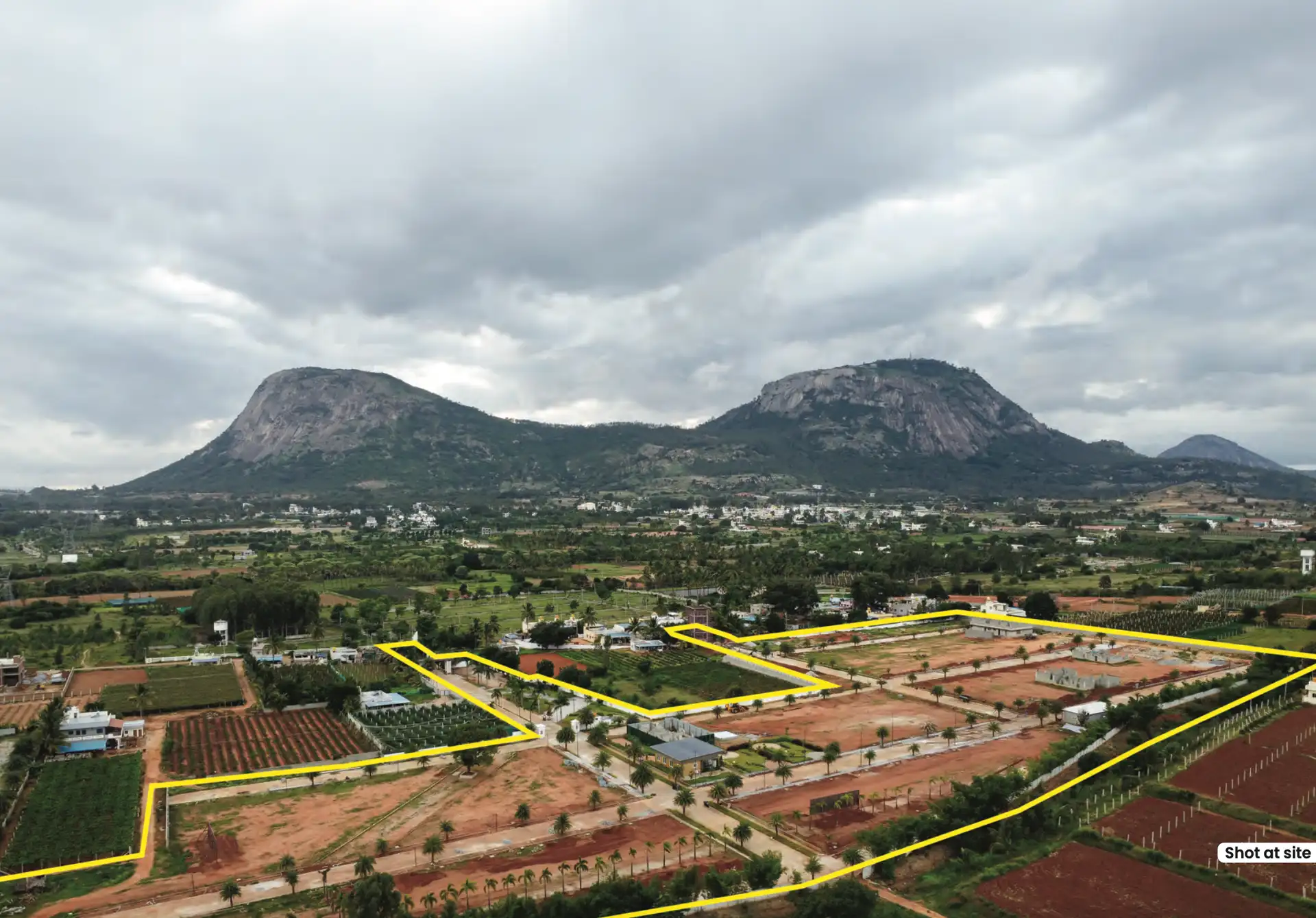 Rare Earth Montira image 6