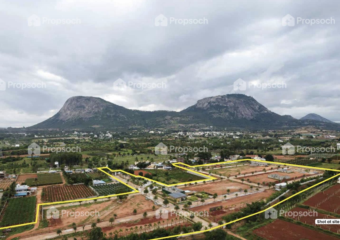 Rare Earth Montira image 1
