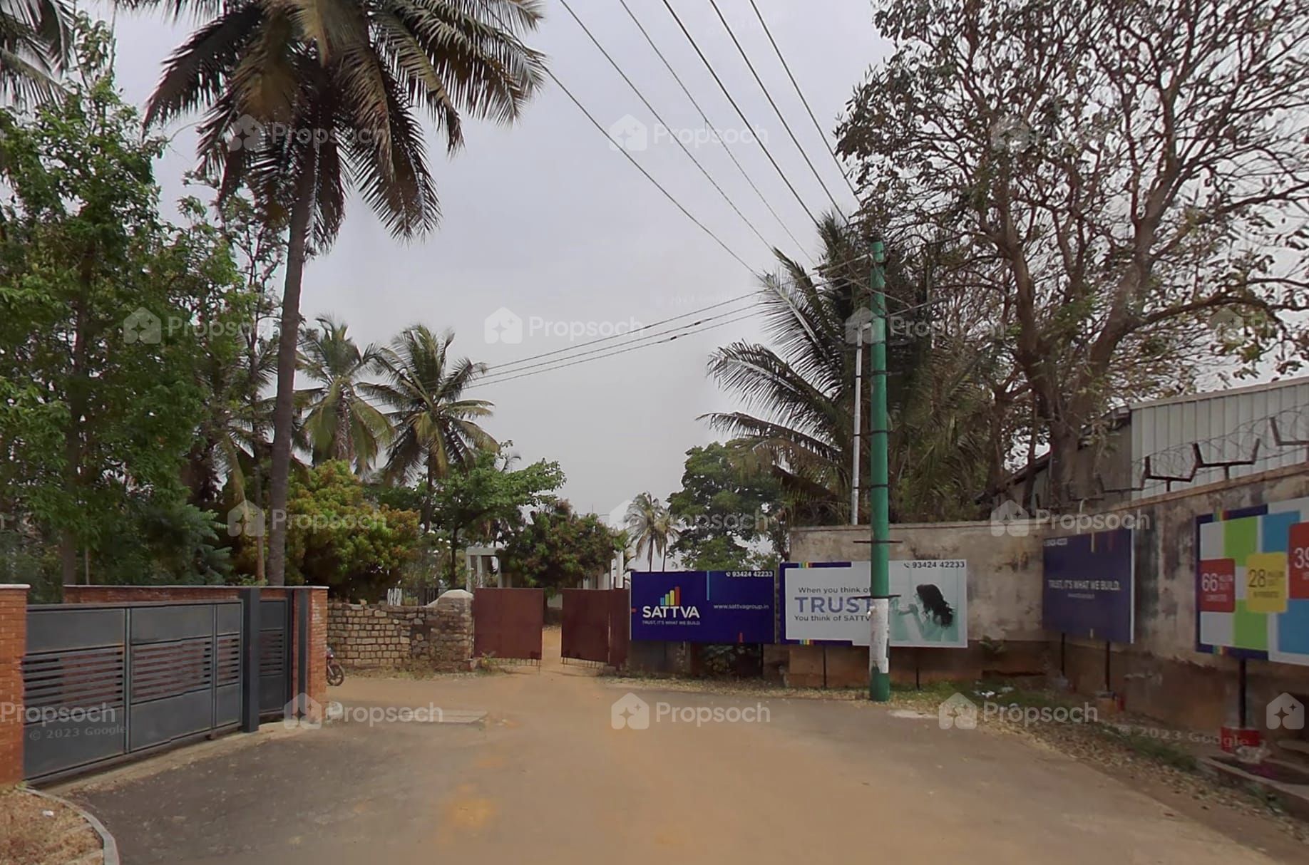 Green Groves image 11