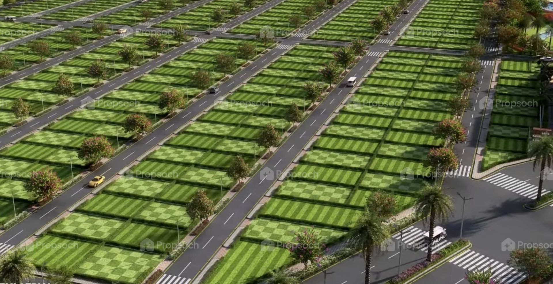 Green Groves image 7