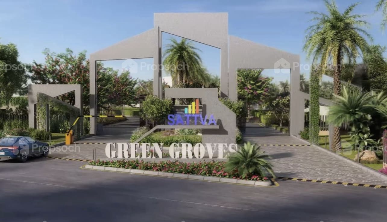 Green Groves image 4