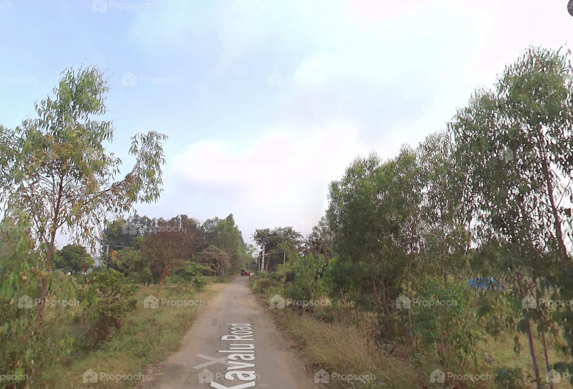 Manyata Ekamoi image 5