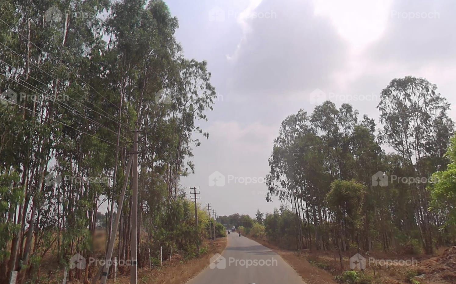 Earth Aroma image 8