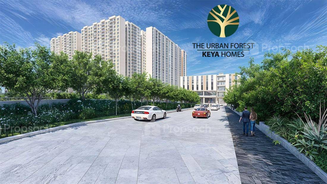 The Urban Forest image 4