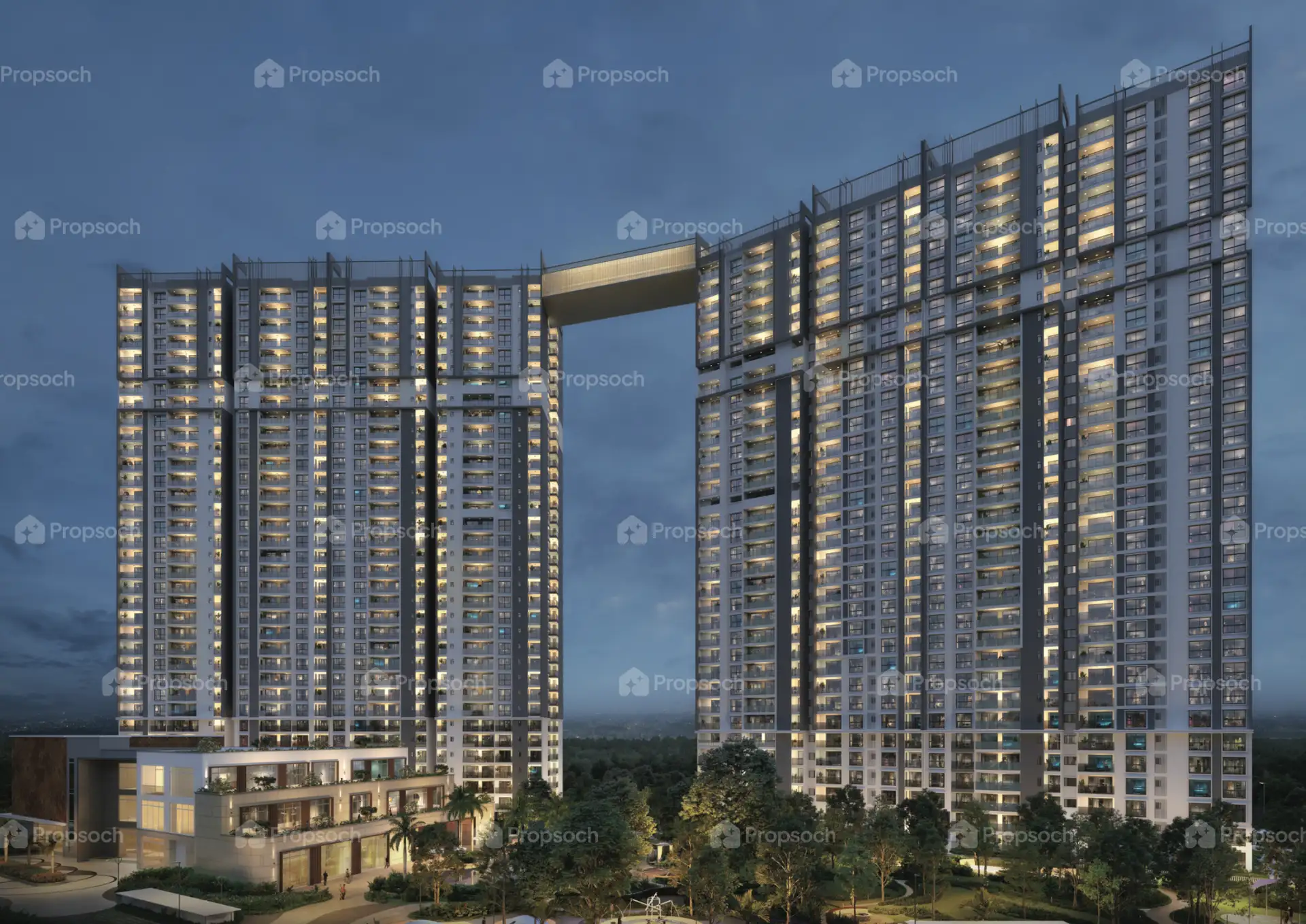 Forest Province 2 @ Mana Skanda The Right Life image 5
