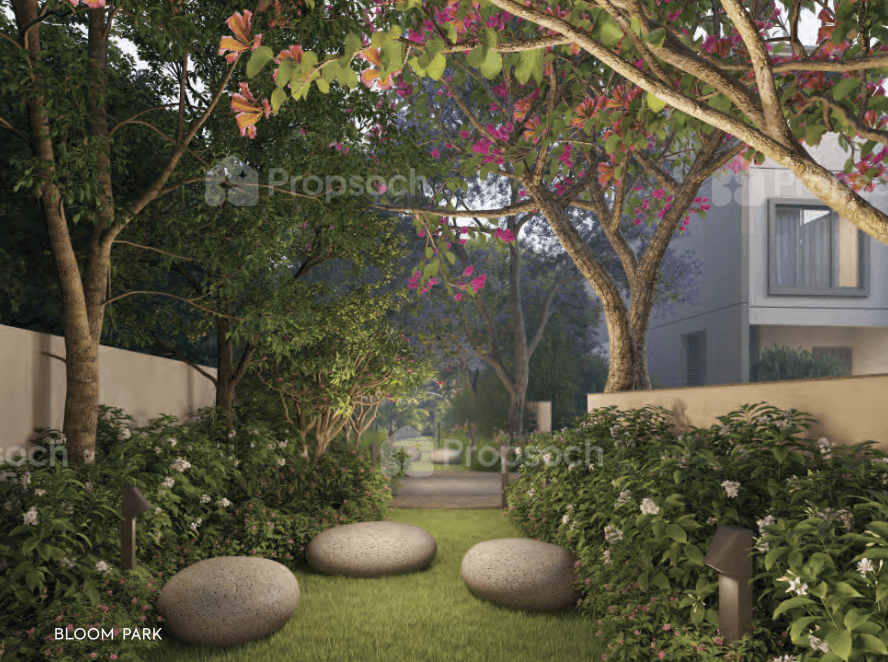 Riviera Glade image 18