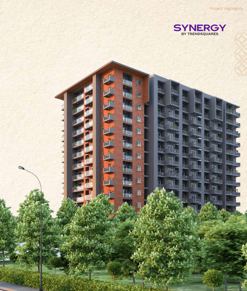 Synergy image 12