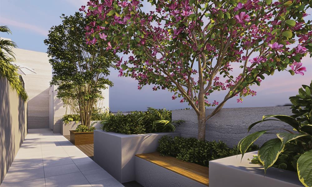Ckpc Horizon,Sarjapur Road,Bengaluru- Views