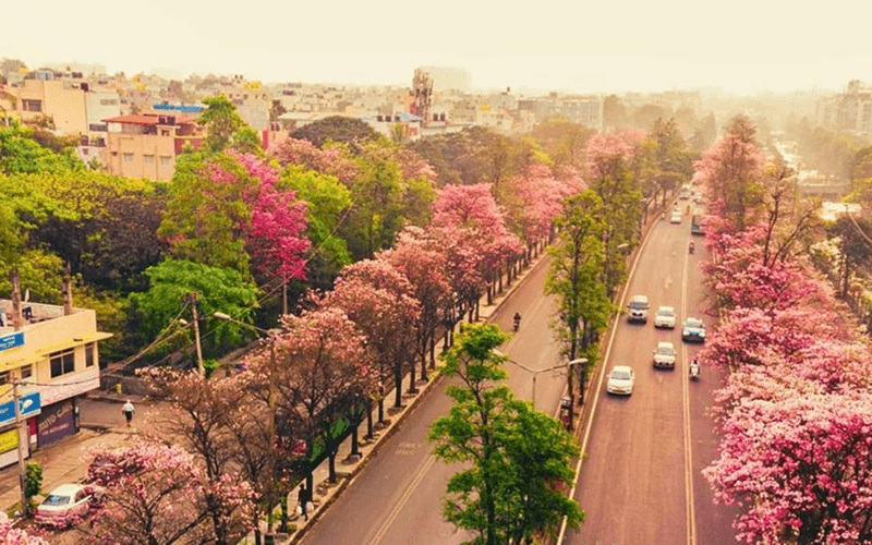 Jayanagar image